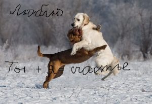 ТВОЕ ПИСЬМО В БУДУЩЕЕ. ВАЖНО