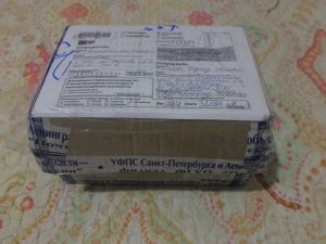 Руня и DARIKNIGI.RU