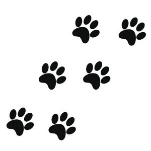 Летающие кошки. Чумачиха и Кошаиха
