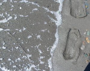 Свежая крысятина. Пятьдесят яиц. Море и Николай Чудотворец